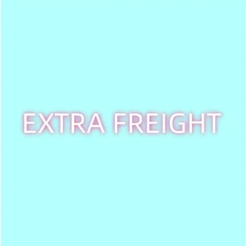 Extra freight / Extra Fee / other expenses and other purposes image 2