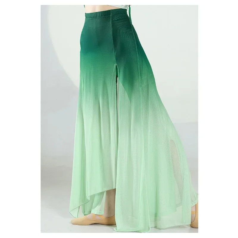 Classical Dance Costumes Ropa De Baile Folclórico De Estilo Chino ElasticGauzeWomen's Elegant Training UniformWomen's Dance Suit