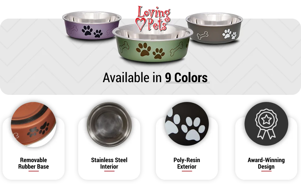 Decorative shih tzu tall munchkin hamster lotus tilted sloppy drinkers shallow wet starter kit cans.