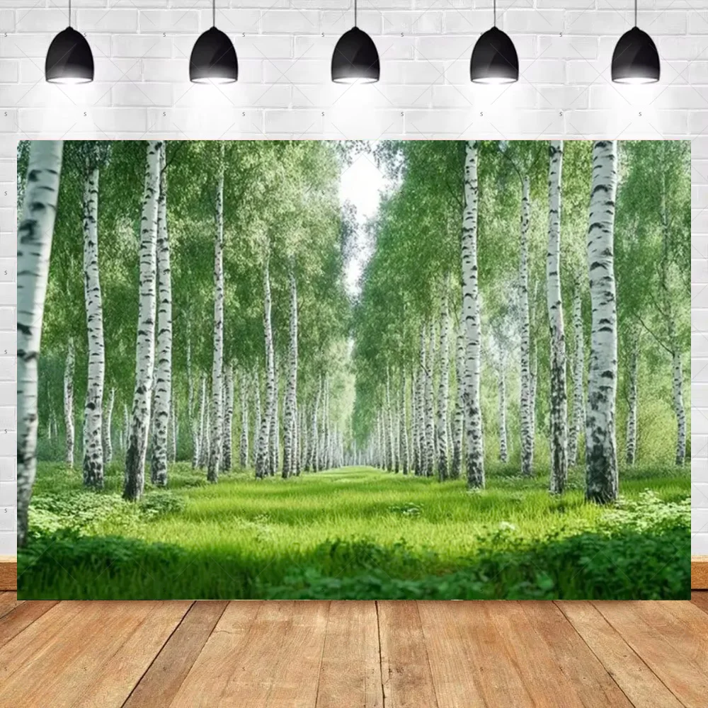 لافتة خلفية لخلفية شجرة البتولا من Sunny Trail، منظر طبيعي للغابات، مستلزمات خلفية للتصوير الفوتوغرافي في بلاد العجائب، استوديو الصور #5