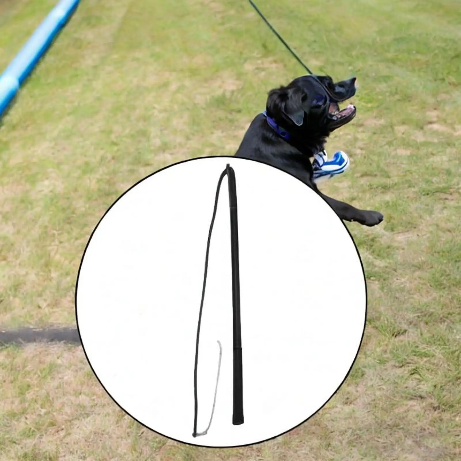 Dog Discipline Whips Rod Pet Behavior Training Tool Pet Obedience Correction Tool Dog Training Hit Stick for Agility Training