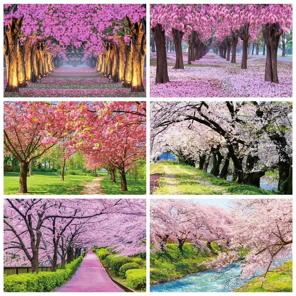 Frühlingsblume Bäume Hintergrund Natur Blumenwald Outdoor Geburtstag Party Porträt Hochzeit Fotografie Hintergrund Fotostudio