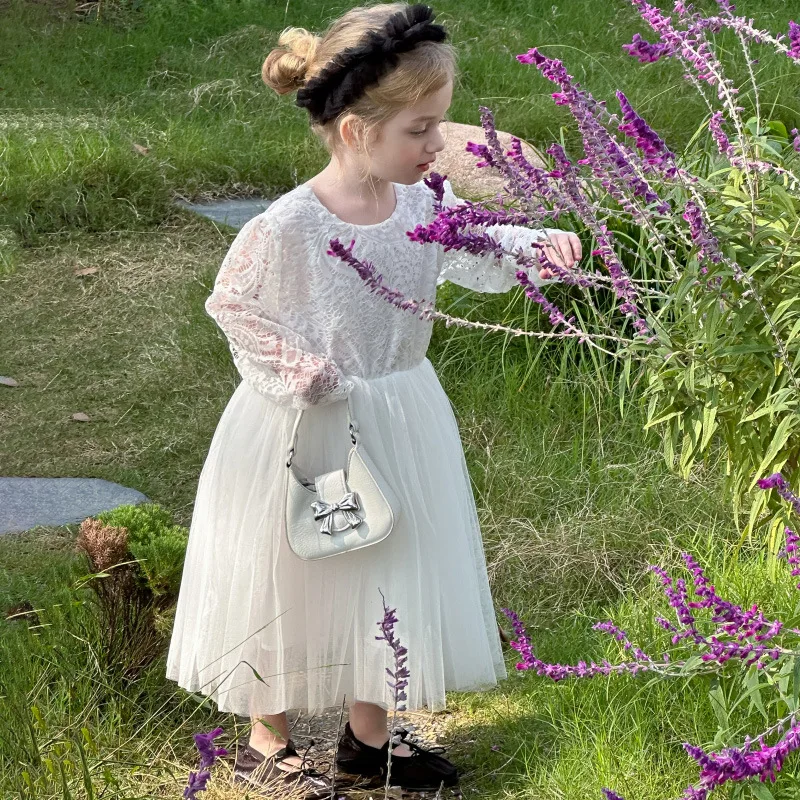 

Spring Girls' Long Sleeve Dress with Mesh Patchwork for Young Girls, Lace Mesh Princess Dress, Formal Dress