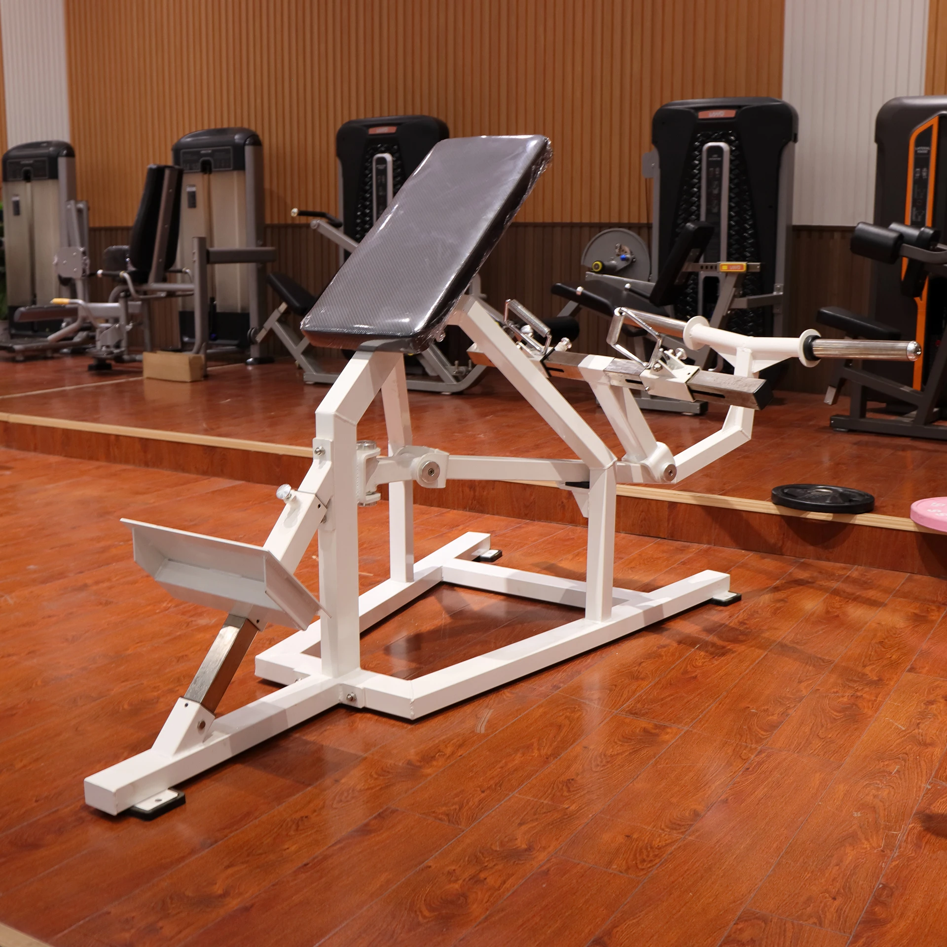 

Fitness LDAS-202 Prone Rowing Machine New Concept Strength Training Machine Gym Equipment for Commercial