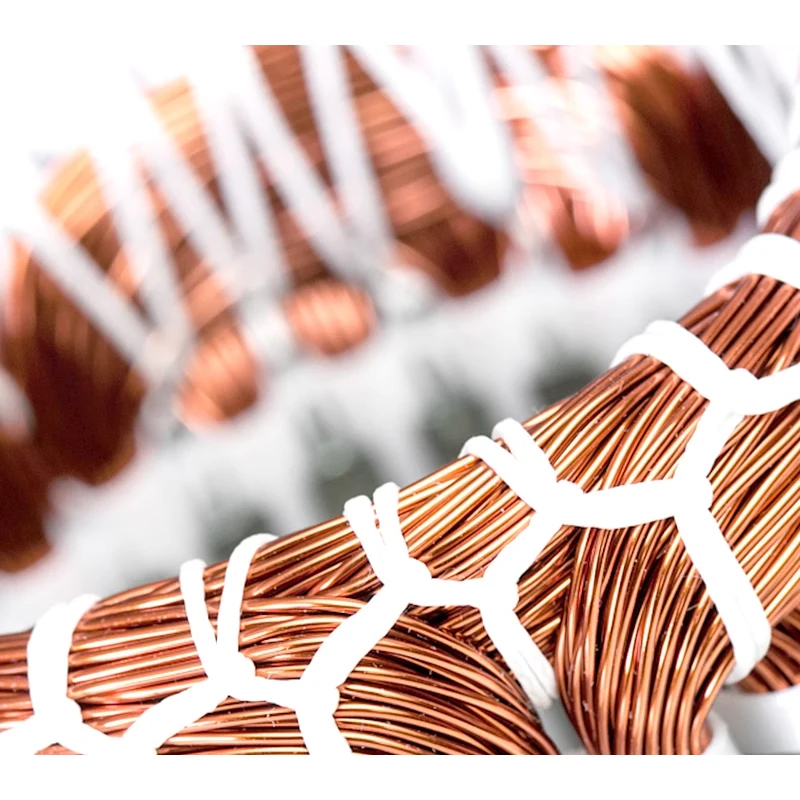 Electric Motor 850W 220V for Grass Shredder Farming Fruit Vegetable Cuter with Fix Screws and With Capacitor