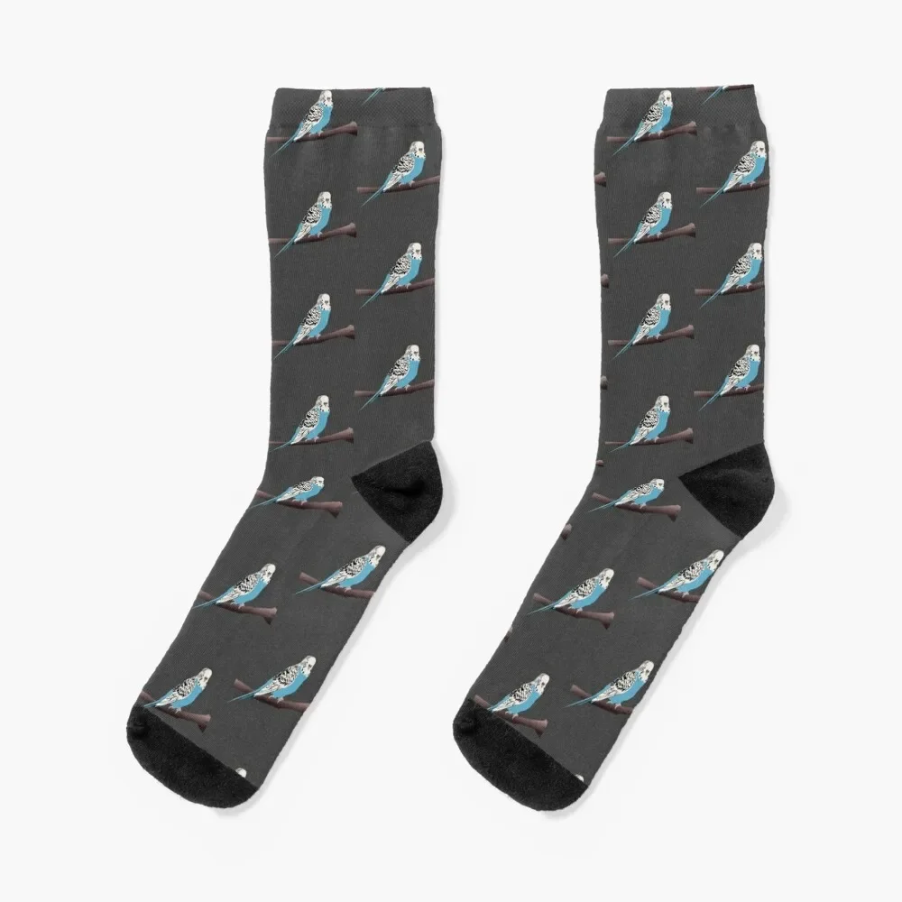 

Blue Parakeet/Budgie Socks new in's crazy Boy Socks Women's