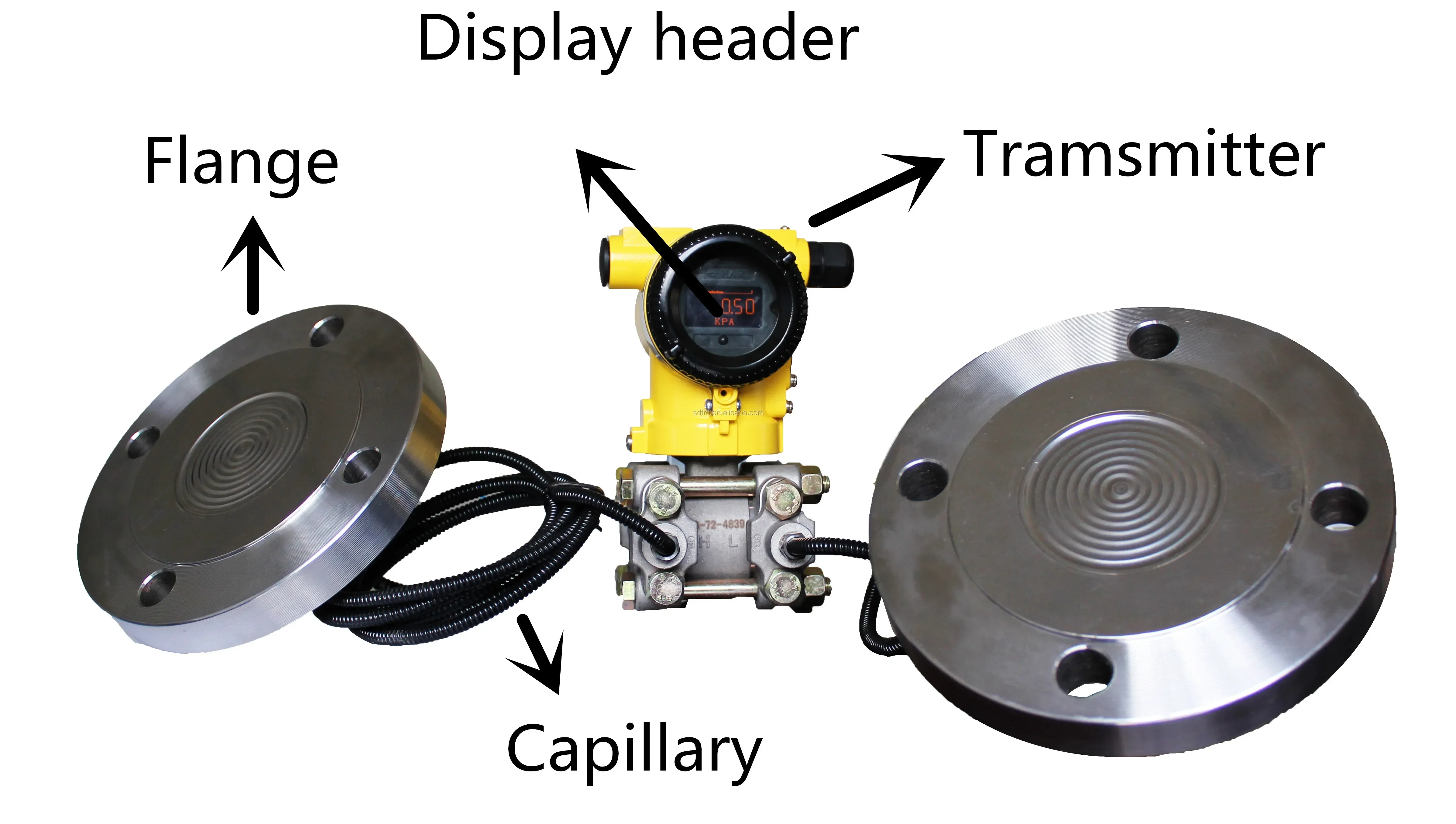 

2025/Double Flanges Mount Direct Differential Pressure Level Transmitter With HART Communication