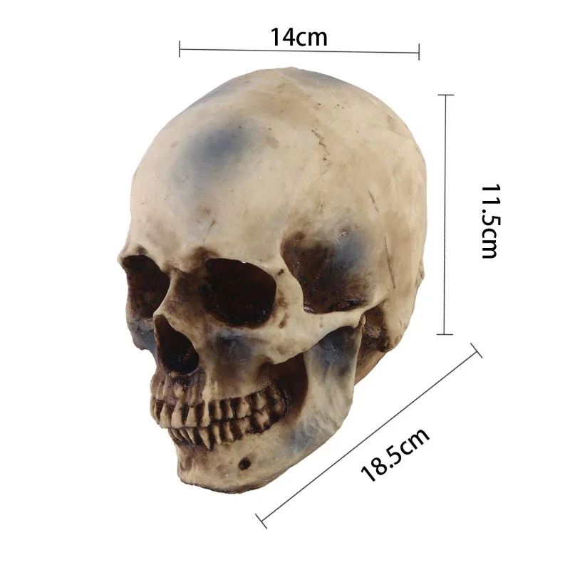 Statues Sculptures Resin Halloween Home Decor Decorative Craft Skull Size 1:1 Model Life Replica High Quality