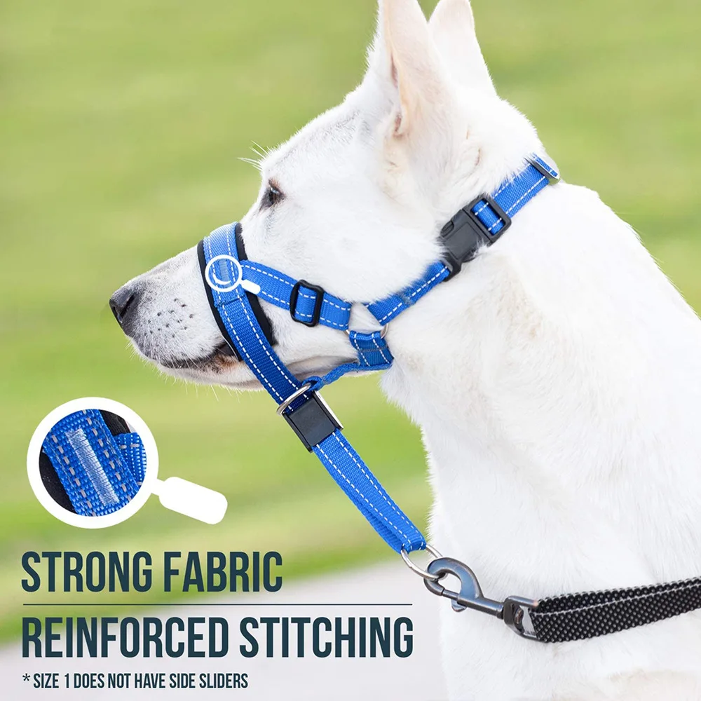 Dog Muzzle Set 1