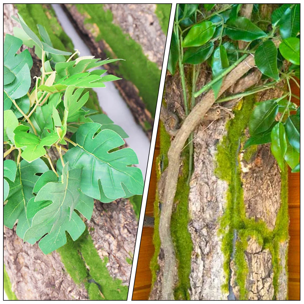 الزواحف تسلق النباح تررم خلفية ديكور شجرة طبيعية النباح آمنة دائم منصة التسلق للمناظر الطبيعية خزان الزواحف