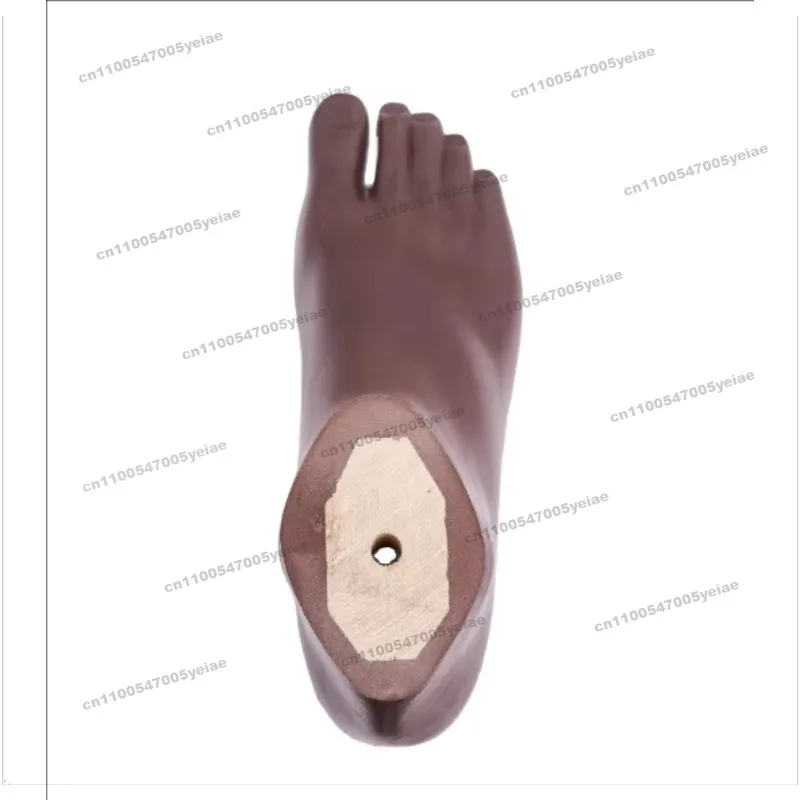 For Prosthetic Leg Rehabilitation Equipment for Brown Polyurethane Foot Prosthetic Components