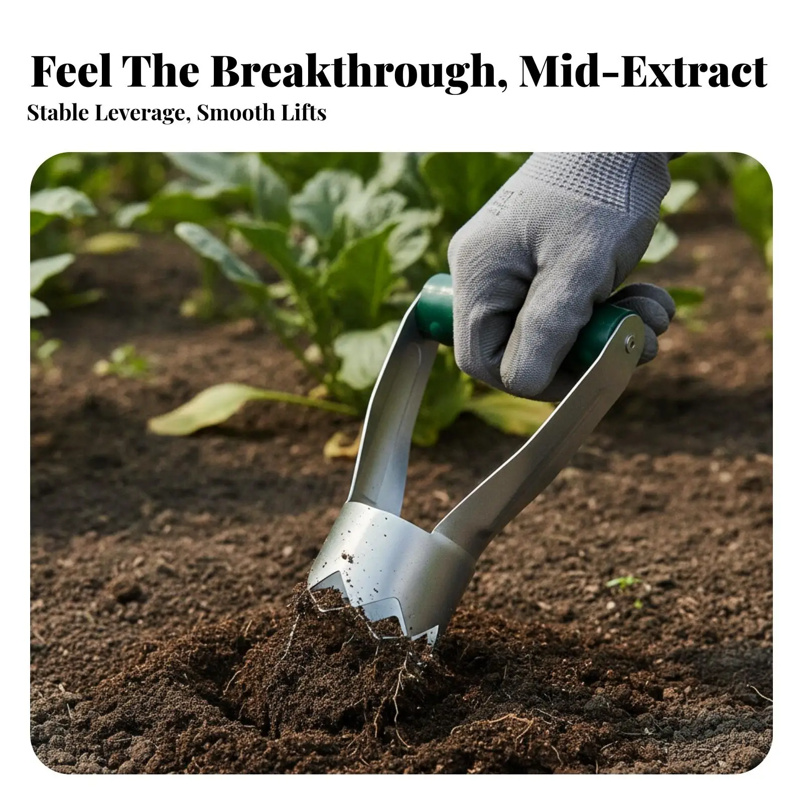 Garden Digging Trowel for Transplanting Seedlings with Carbon Steel Blade and Comfort Grip for Nursery Work