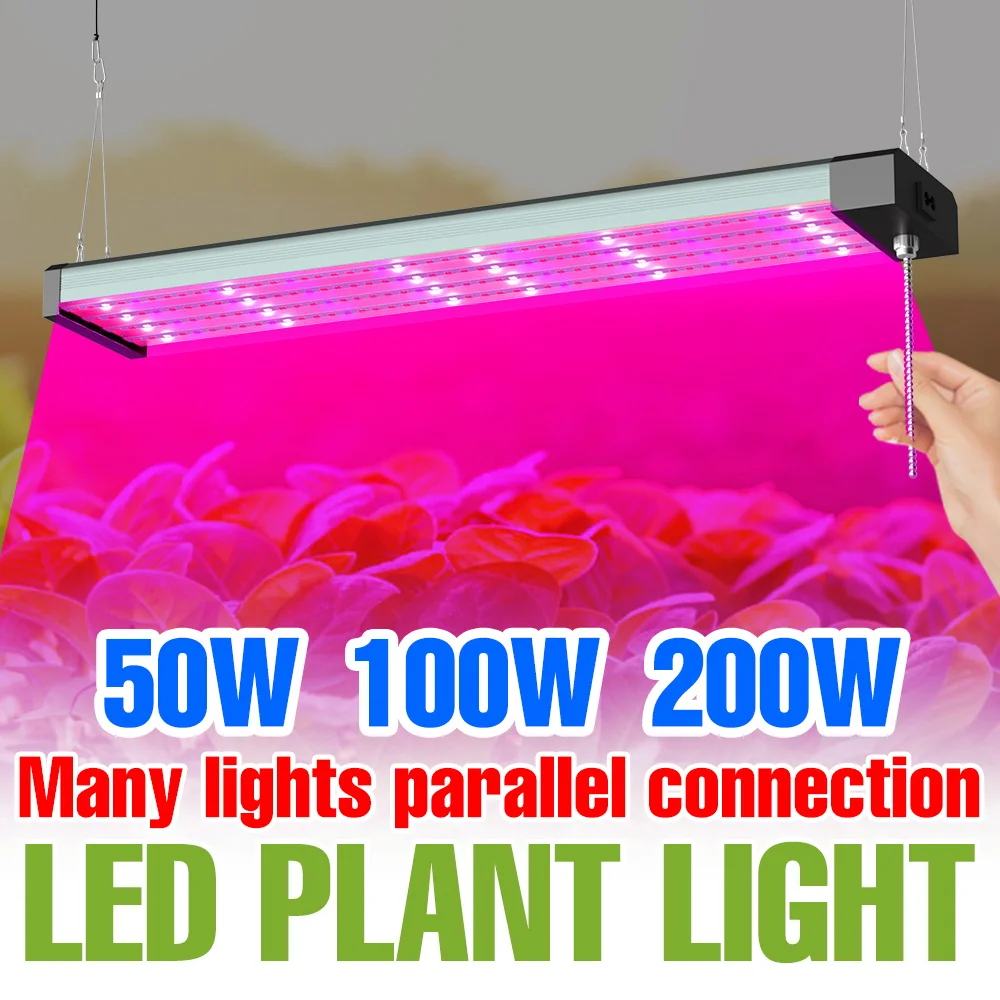 

LED Full Spectrum Grow Light Quantum Board Hydroponics Plant Cultivation Lamp Indoor Greenhouse Tent Fill Lighting 50W 100W 200W