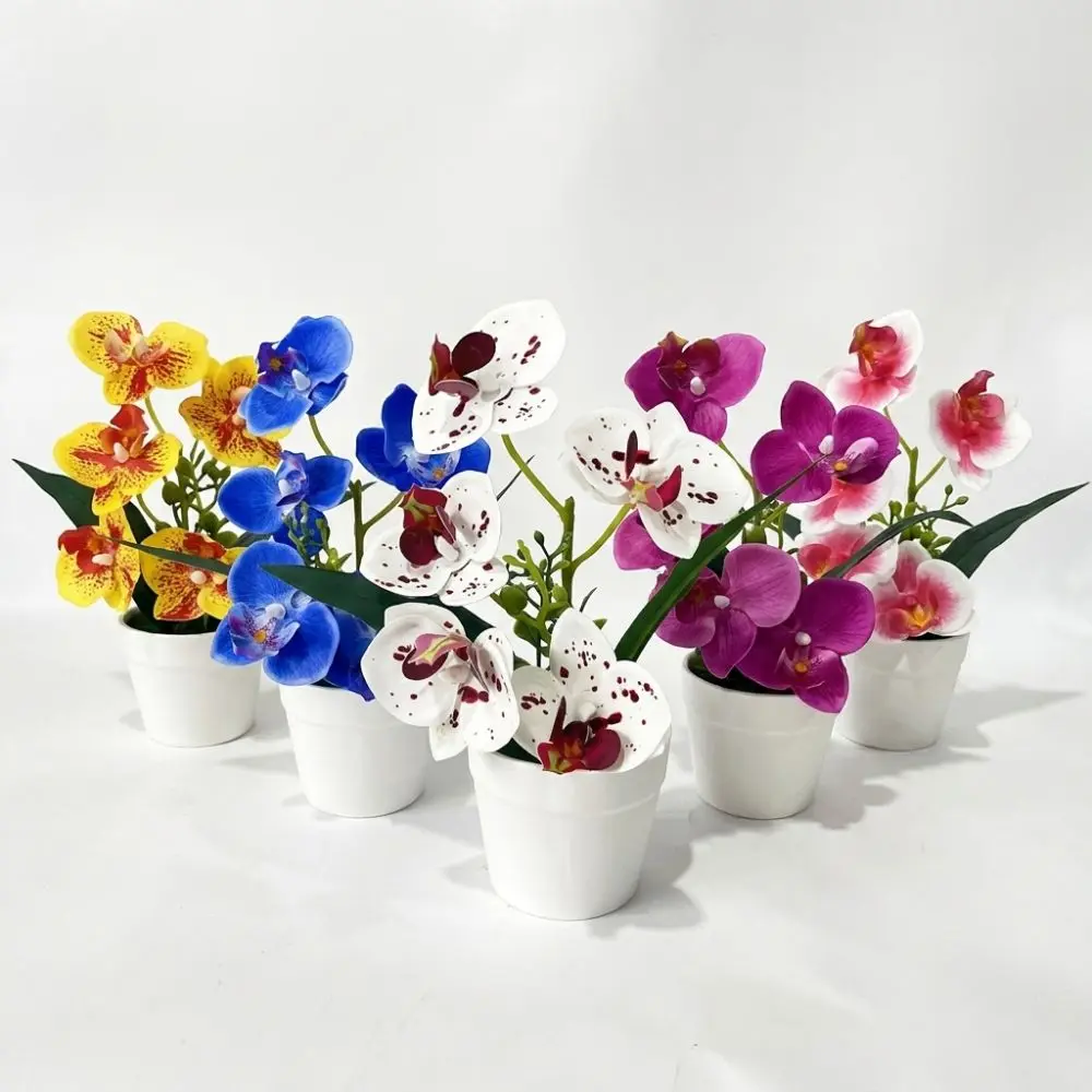 5 Blooms Artificial Orchid Arrangement Indoor Realistic Potted Flower Display White Pot Green Leaves Tabletop Floral Centerpiece