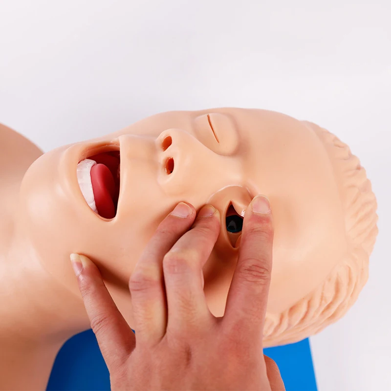 PVC Adult Intubation Manikin Teaching Model, Airway Management Trainer Tracheal Intubation Training Simulator Model, Science Lab