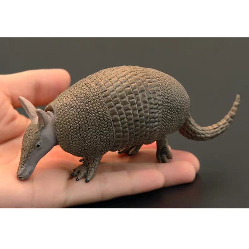 Simulated Armadillo Model Desktop Wildlife Ornament Home Pet Pichiciego Decoration