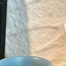 ชุดจานชามกาแฟฝรั่งเศสขนาดเล็ก 2 ชิ้น อุปกรณ์ตกแต่งบ้านตุ๊กตาจิ๋ว สไตล์หรูหรา สำหรับตกแต่งฉากจำลอง