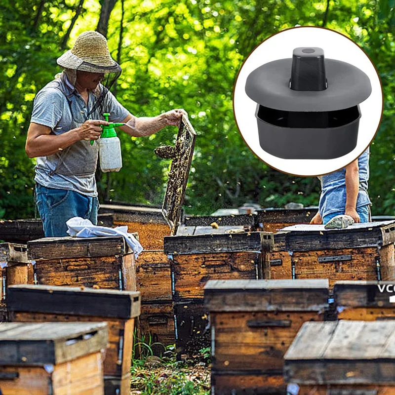 Support de Pied Robuste pour Ruche, pour Jardin Extérieur, Apiculteur, Atelier
