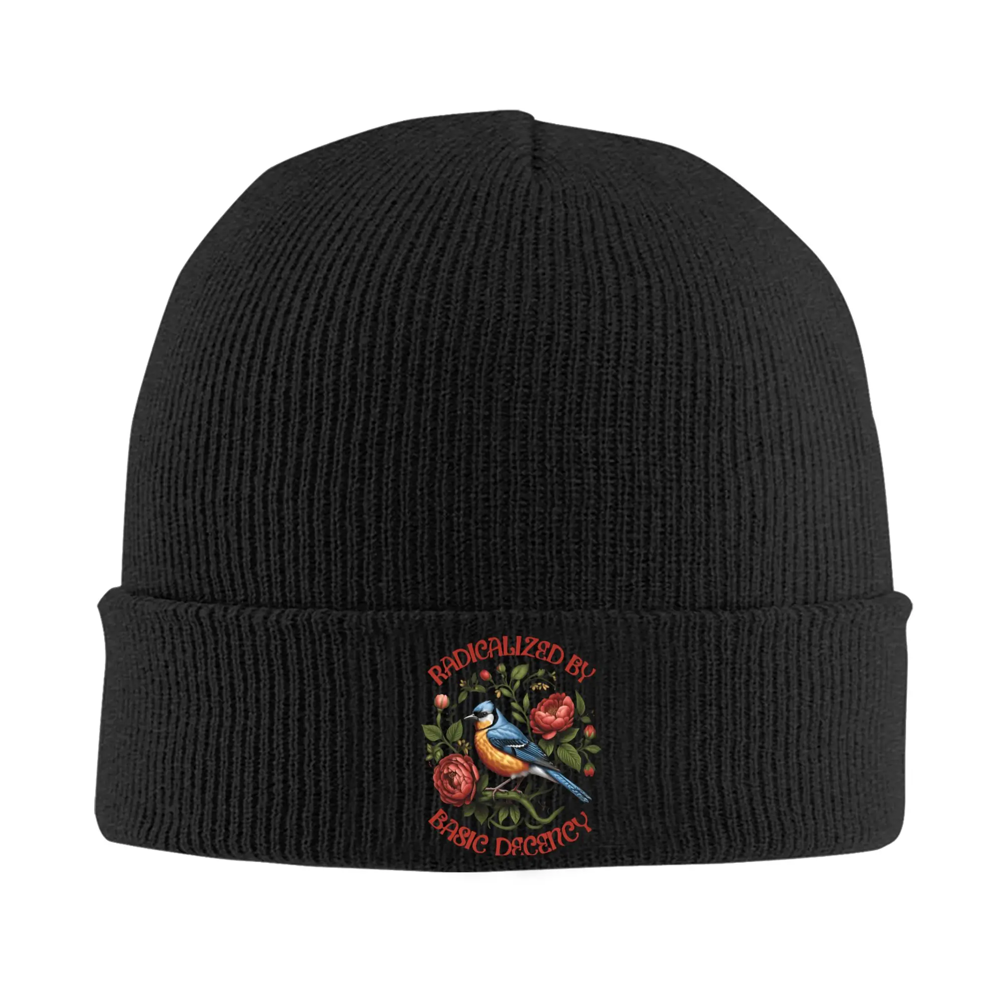 Radicalized by Basic Decency Social Democracy Knitted Hat Beanies Autumn Winter Hat Warm Unisex  Fashion  Cap Men Women Gift,