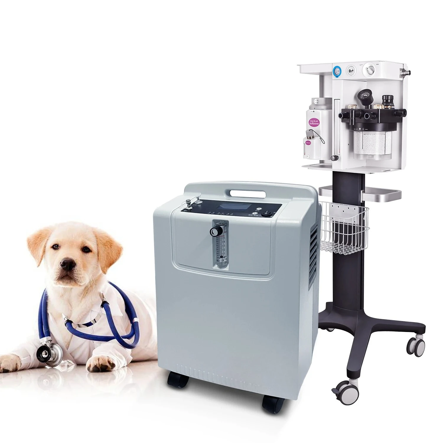 5L Concentrator for Pet  Chamber Animal Therapy Cages Canine O2 Tent for Pet