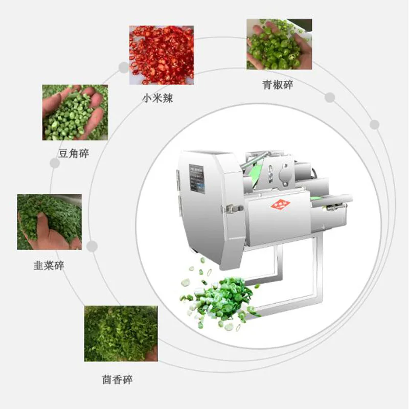 100V 220V Desktop Small Vegetable Slicer For Leek Celery Garlic Moss Potato Radish Automatic Vegetable Slicer