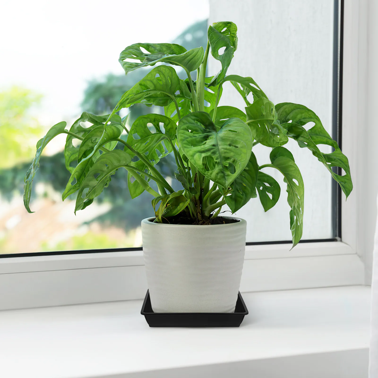 10-個樹脂製植木鉢トレイ正方形耐熱プラスチックシャーシトレイセラミック植木鉢用屋内屋外庭園用