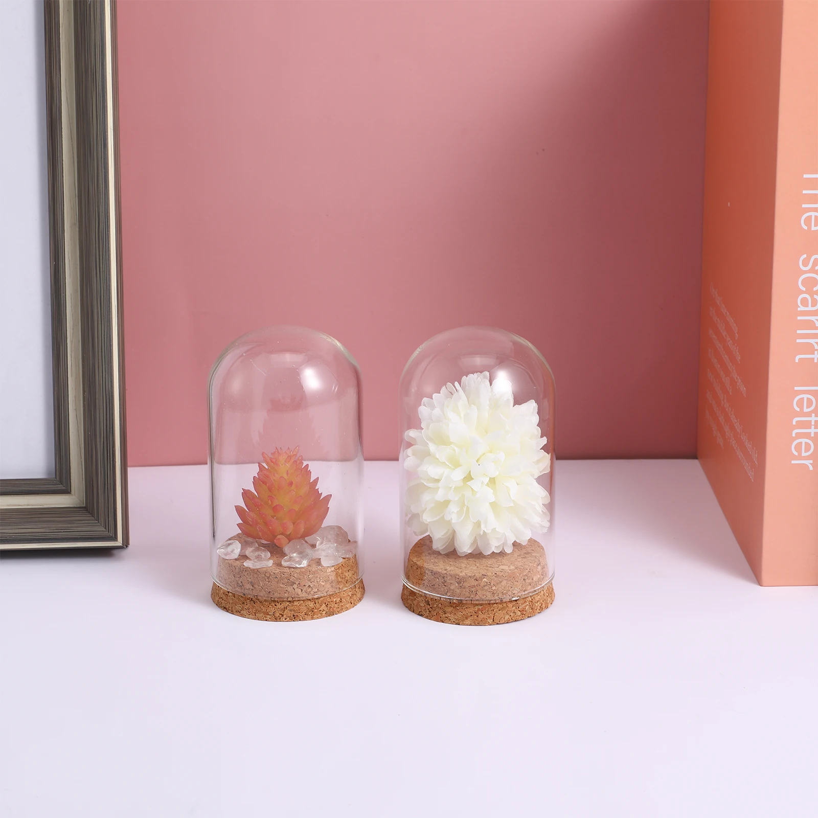 5Pcs Clear Glass Dome With Cork Base Eternal Flower Cover For Decor Glass Display Case Figurines Miniatures Decorative
