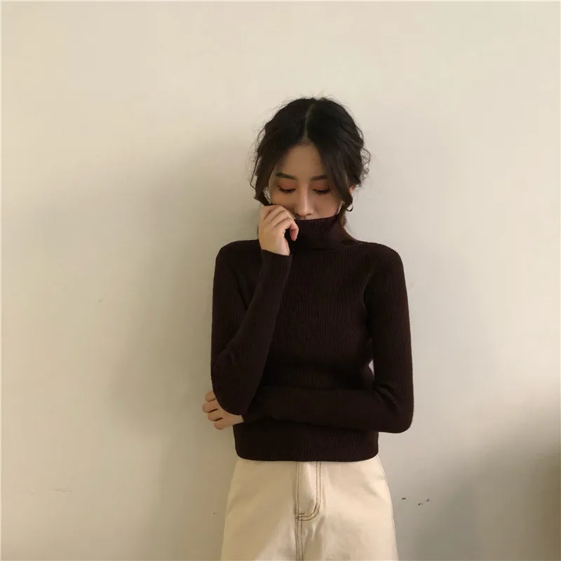 Women Heaps Collar Turtleneck Sweaters Autumn Winter Slim Pullover Women Basic Tops Casual Soft Knit Sweater Soft Warm Jumper