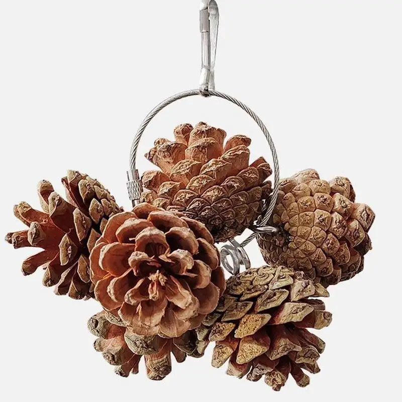 Bird Toys For Parrots Foraging Pinecone Natural Nuts Foraging Toy Bird Cage Accessories Bird Toys For Cage For Small And