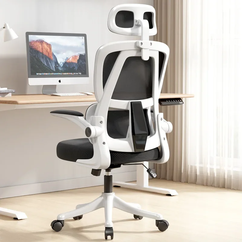 Computer Chair Home Office Chair Bedroom Backrest Comfortable Chair Book Desk Students Study Sedentary Ergonomic