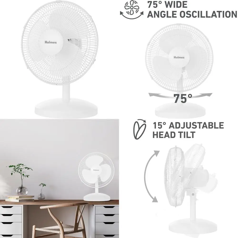 12 3-Speed Oscillat…