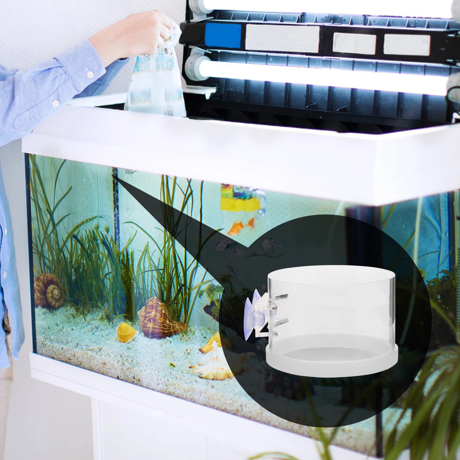 

Professional Fish Feeder Ring Large Size Floating Aquarium Feeding Tool Reusable Food Circle Tank Accessories Suction Cup