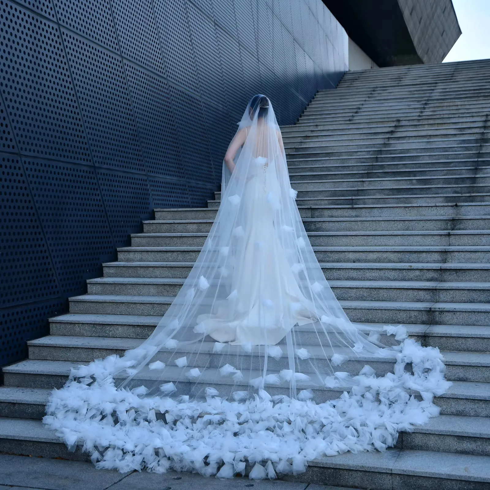 Bridal Veil with Blusher 2 Tier Extra Wide 3M Cathedral Length Soft Tulle Floral Appliques with Comb White Church WeddingG126