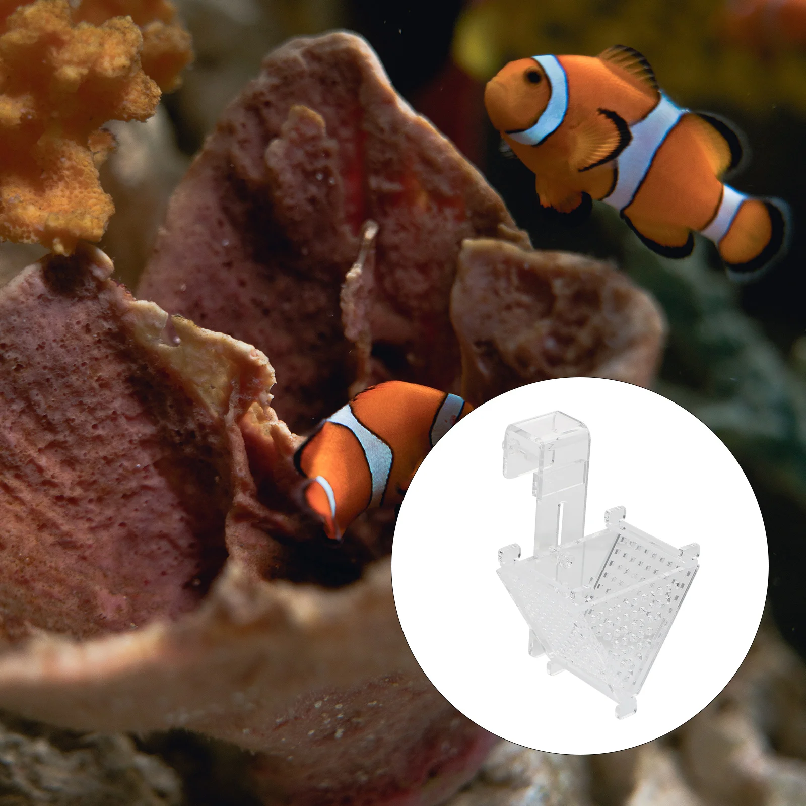 

Red Worm Feeding Cup Acrylic Aquarium Tool Fresh Saltwater Fish Food Holder Practical Feeder Shrimp Feeder Supply