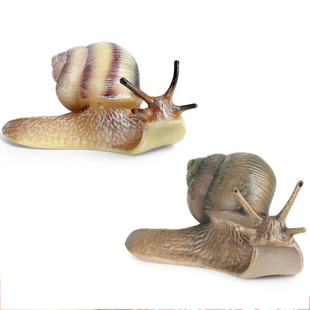 Delicate Solid Puzzle Science Micro Landscape Children's Cognitive Garden Decoration Simulation Insect Snail Statue Snail Model