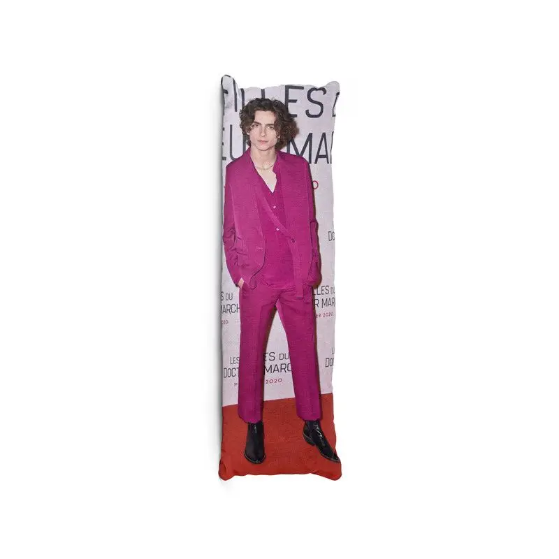 Aertemisi Timothee Chalamet Body Pillow Case Cover Anime Dakimakura Pillowcase