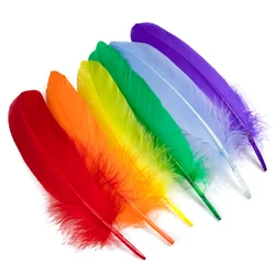 15-20 cm Piuma d'oca naturale Multicolor Plumas per artigianato Dream Catcher Piuma di cigno per la decorazione di gioielli per feste in casa