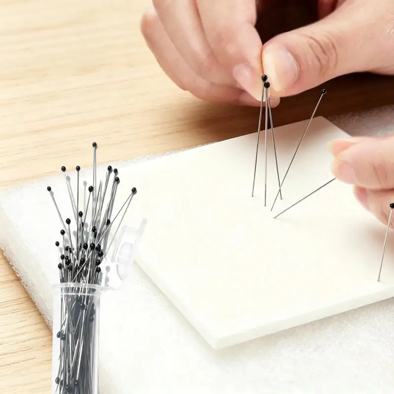 100/500 Stück Edelstahl-Probennadeln, Insektennadeln mit Kunststoffbox für Schullabore, Bildung, Entomologie, Körperdissektion – Detail 5