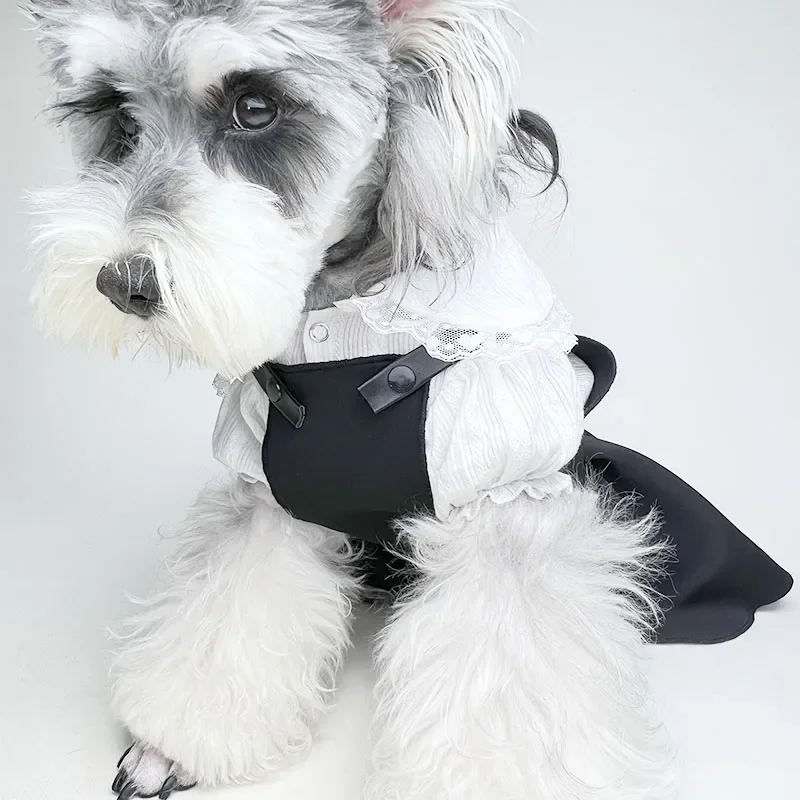 

Designer Dog Costume Dress Clothes Strap Pants Skirt Two-piece Set Shirt Shoulder Strap Skirt Denim Skirt Lolita Lace Shirt