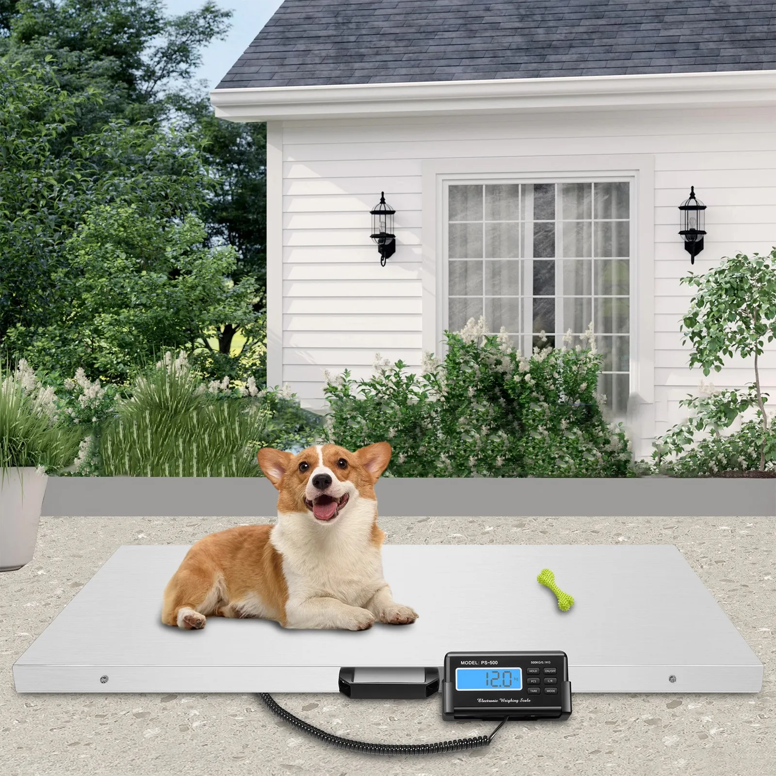Heavy Duty Digital Pet Scale, Stainless Steel Weighing Platform with LCD Display, Max 1100LB Capacity Multi-Purpose Animal Weight Scale