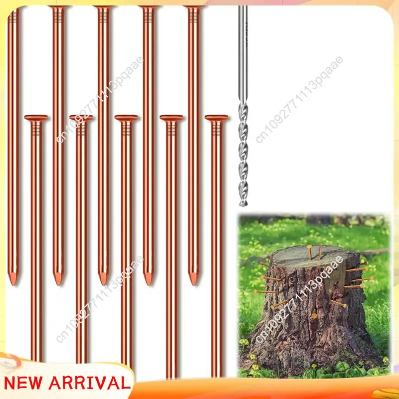 

N84R 10Pcs 3.15 Inch Pure Copper Nails For Killing Trees Stump Root With Drill,Stump Removal Spikes Bulk Pack