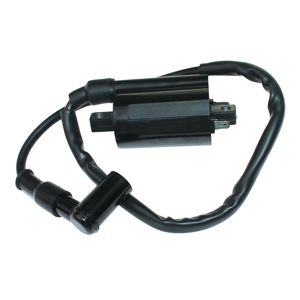 Ignition Coil For Briggs & Stratton 697cc 23.5hp/953cc 31hp/34hp VanGuard 3/LC EFI 3-Cylinder,Liquid-Cooled DM700G DM950G DM954G