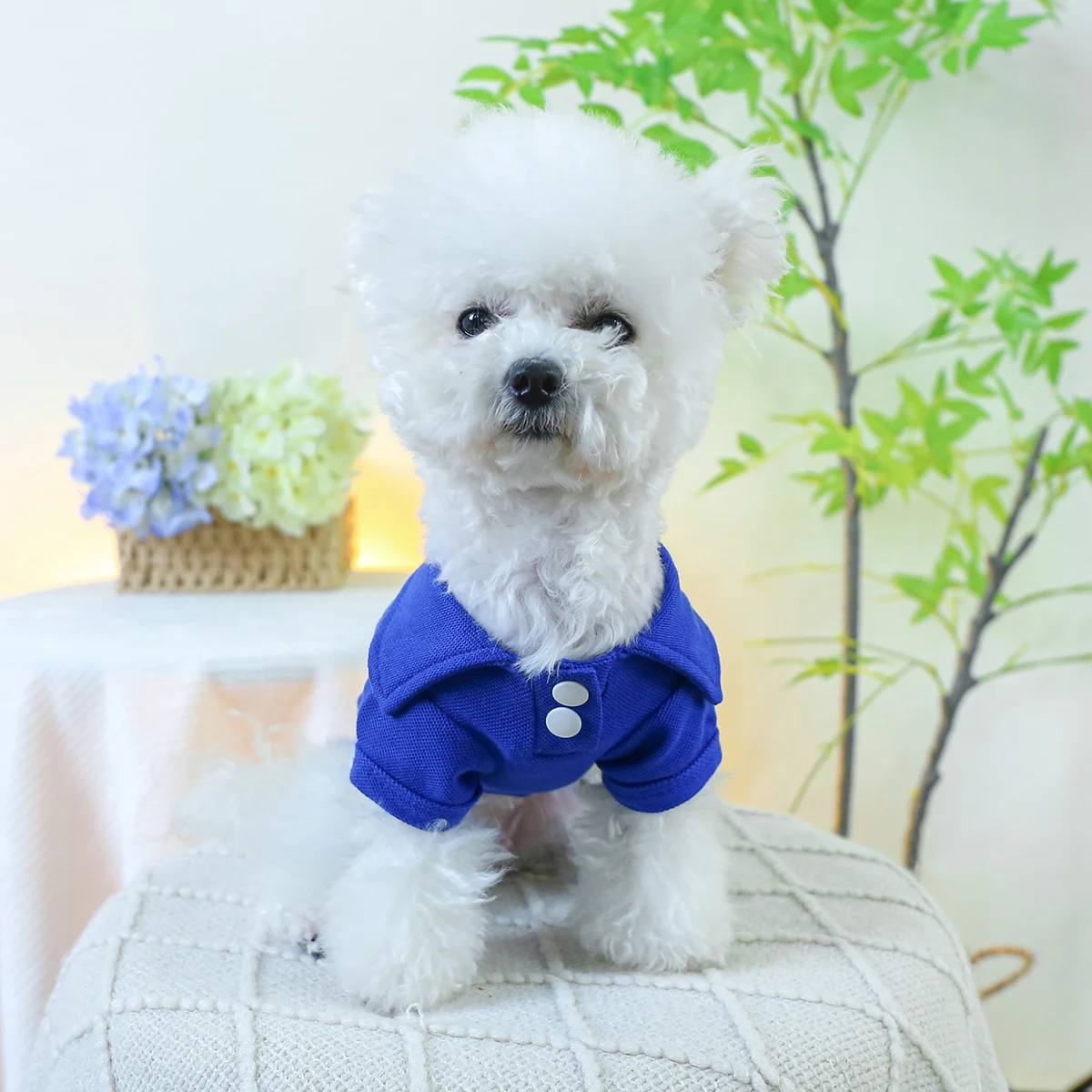 1PC Pet Clothing Dog Spring/Summer Thin Blue Bear Head Embroidered Short Sleeve Cat T Suitable for Small and Medium sized Dogs