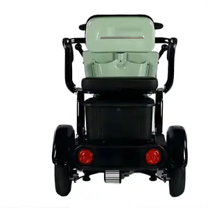 Elektrische Fahrrad für Erwachsene für Menschen mit Touristen 48 V 60 V 800W Vierrad Elektrischer Roller 12 Hauptverkauf Erwachsener Elektromotorrad - №12