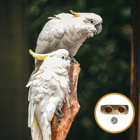 Apple Wood Feeding Bowl For Parrots Durable Bird Food Container Natural Treat Dispenser Hanging Cage Accessory