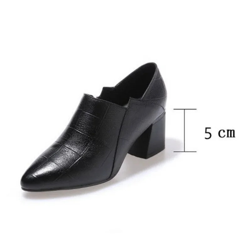 High-heeled Shoes Women\'s 2024new All-match Thick-heeled Pointed Leather Shoes Mid-heeled Black Professional Shoes Women\'s Shoes