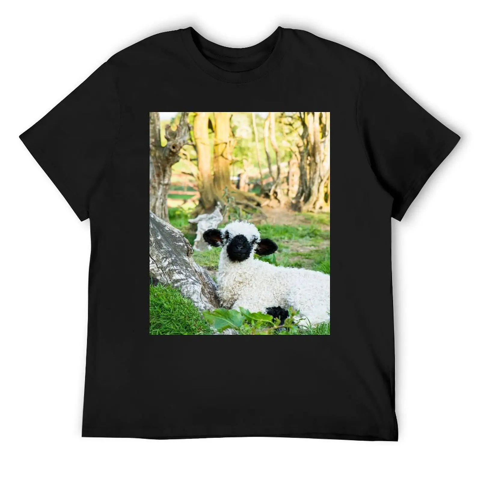 Valais Blacknose Lamb T-Shirt boys animal print man t shirt customs mens clothes