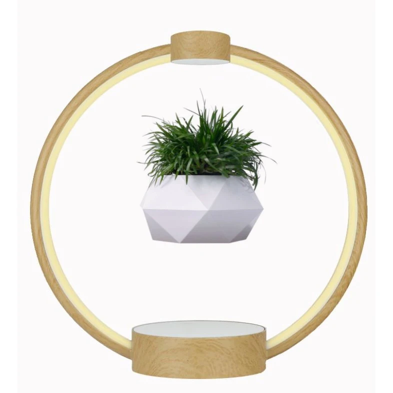 

Magnetic Air Levitating Bonsai Plants Planter Levitation Floating Flower Pots for Decoration Gift
