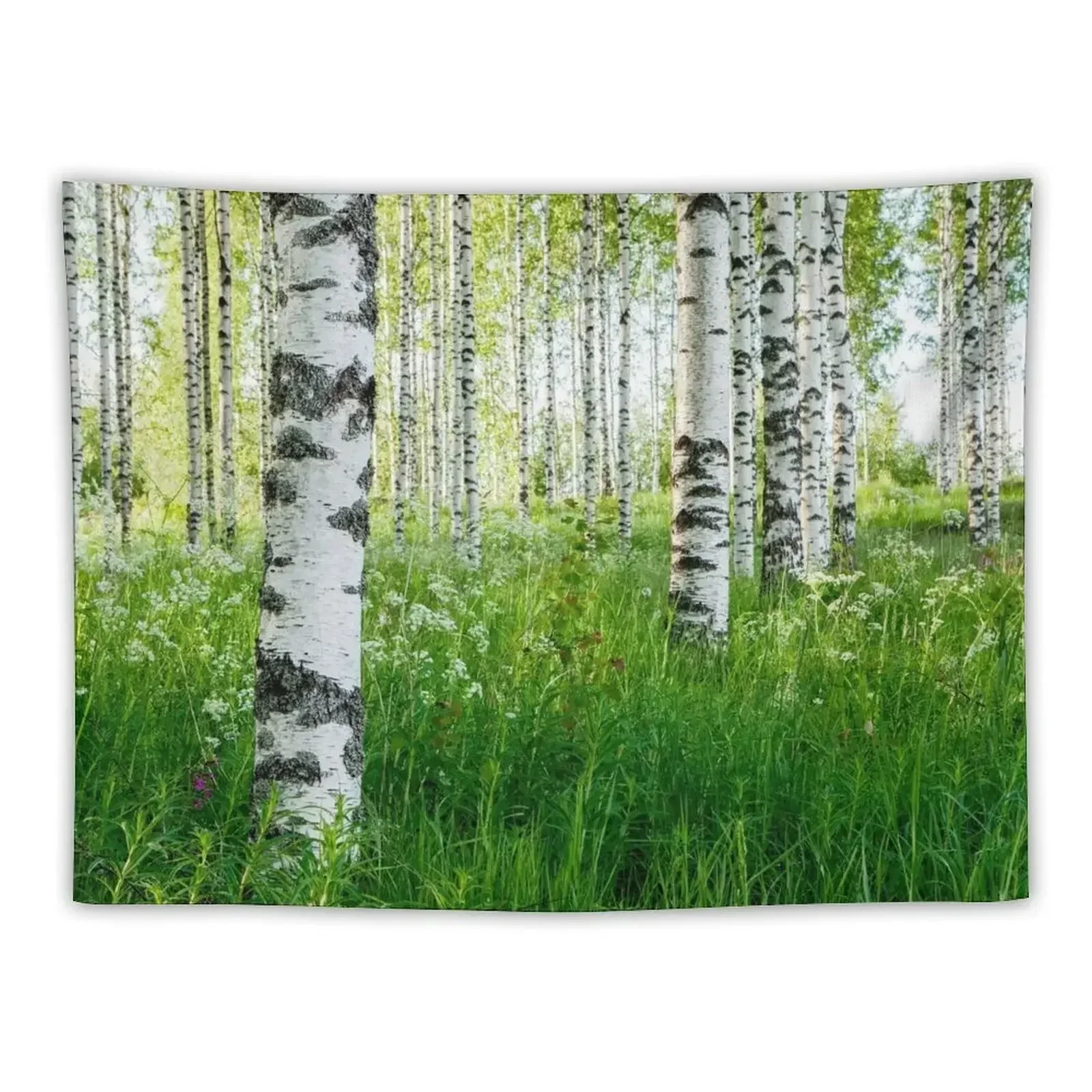 

Finnish birch forest in summer Tapestry Home Decor Aesthetic Decoration For Bedroom Room Aesthetic Decor Tapestry