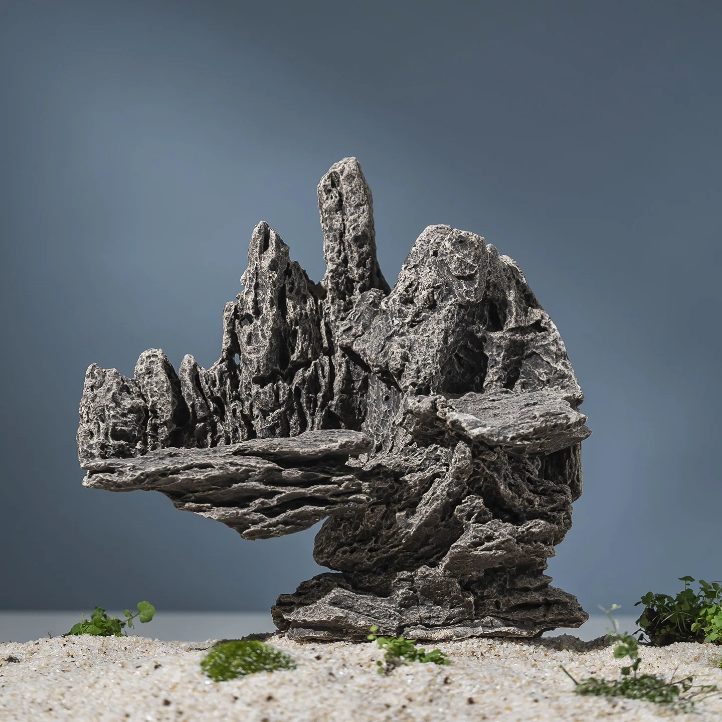 Ceramics Fish Tank Decoration - Planted Aquarium Moss review and price